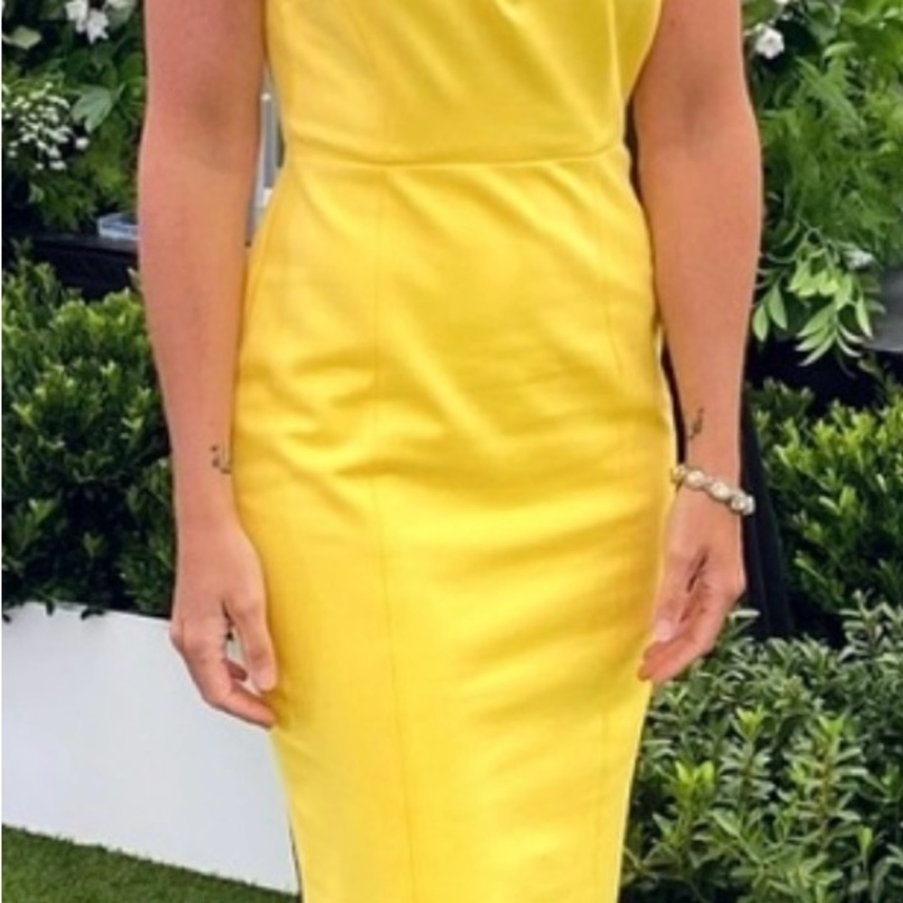 Beautiful Brooks Brothers Dress size 12